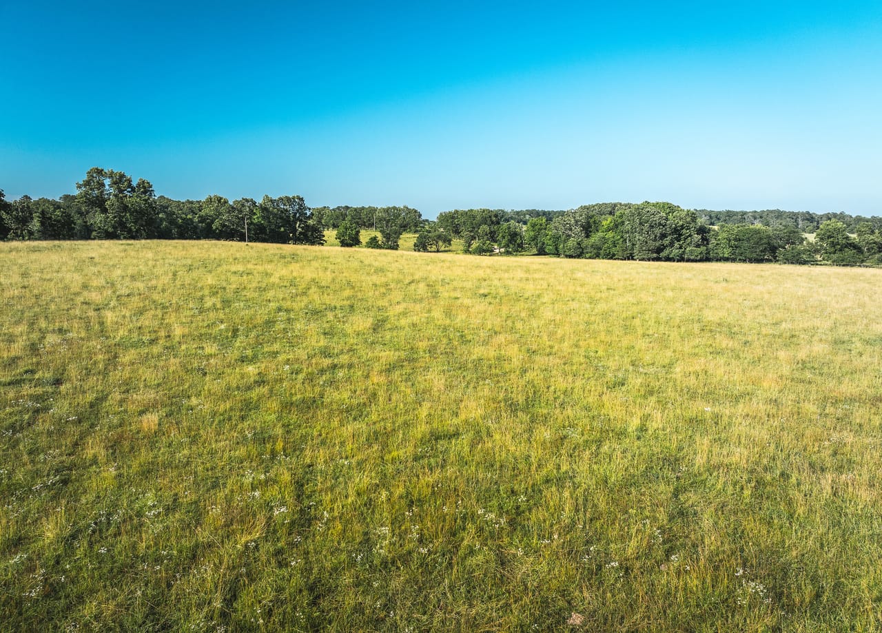 Listing Image 65