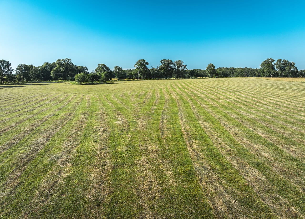 Listing Image 67