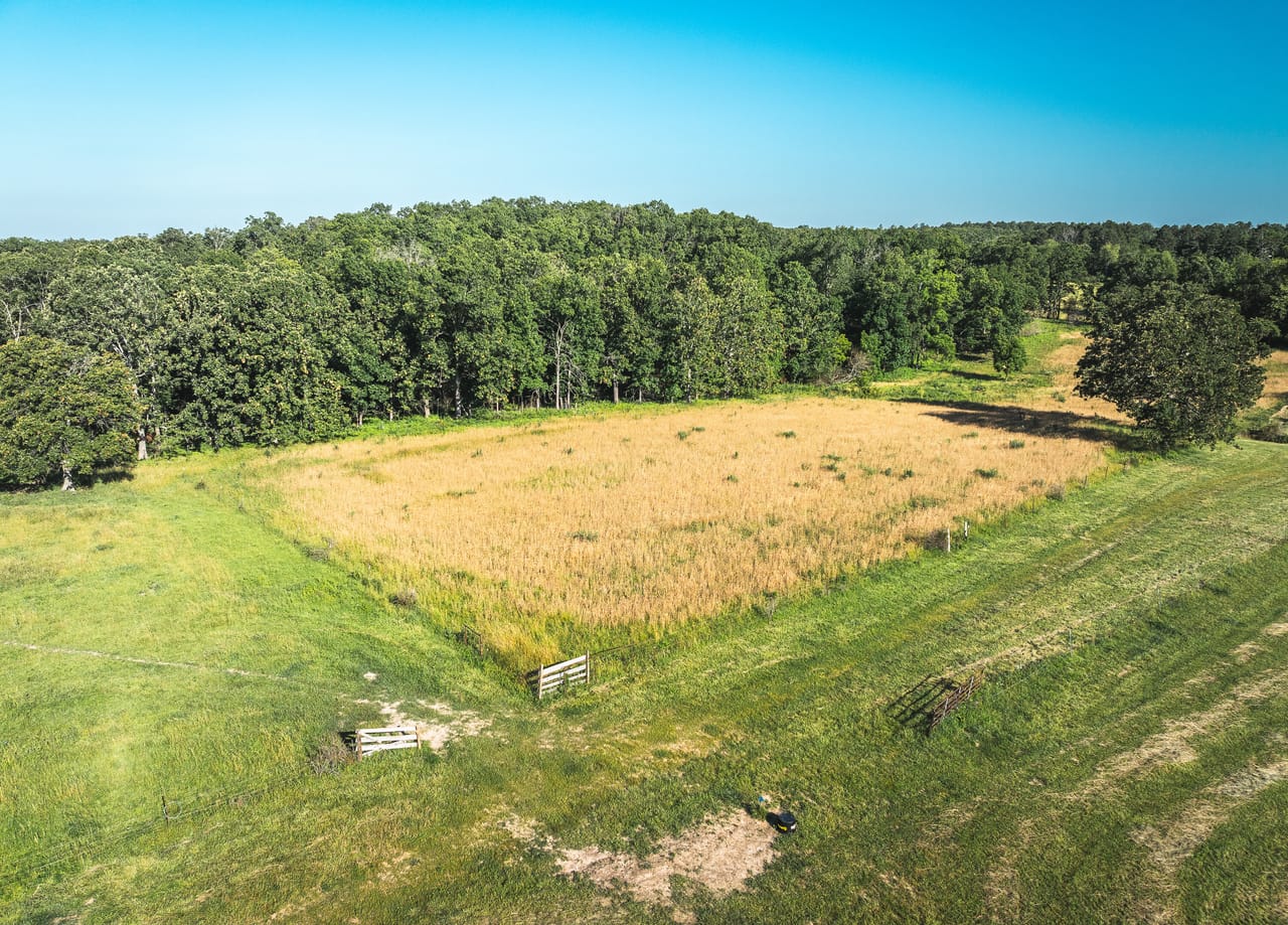 Listing Image 46