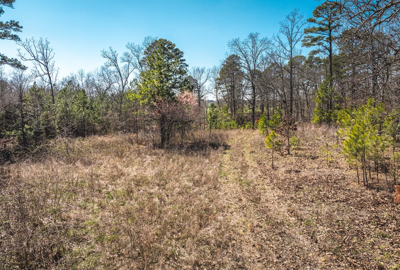 Spring Valley Farm Tract 3