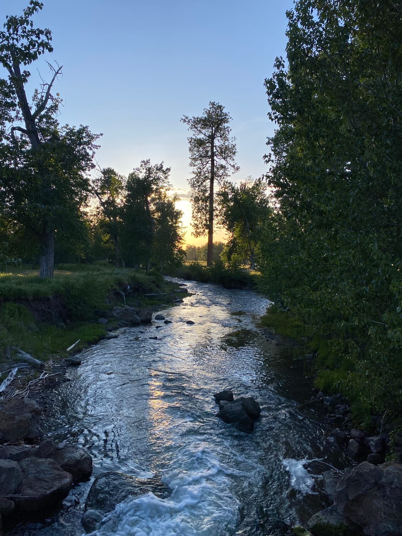 Listing Image 68