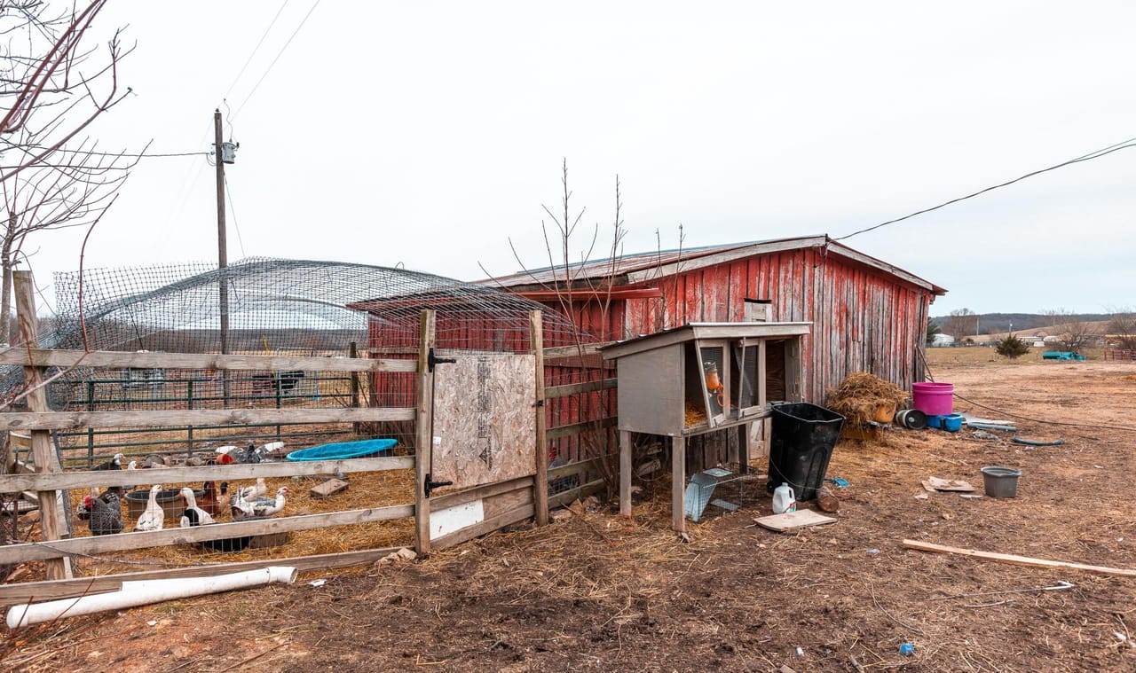 Listing Image 14