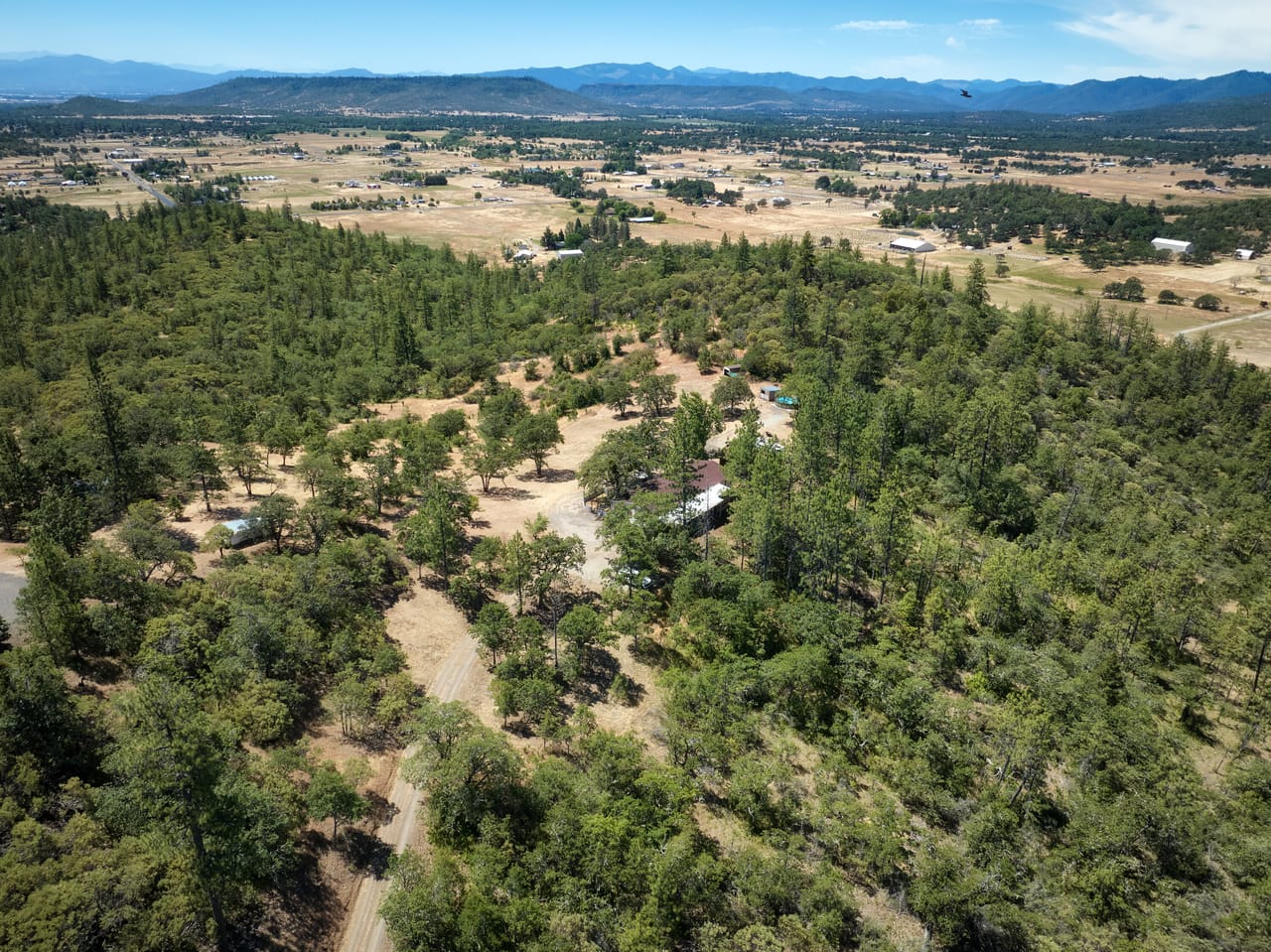 Listing Image 39