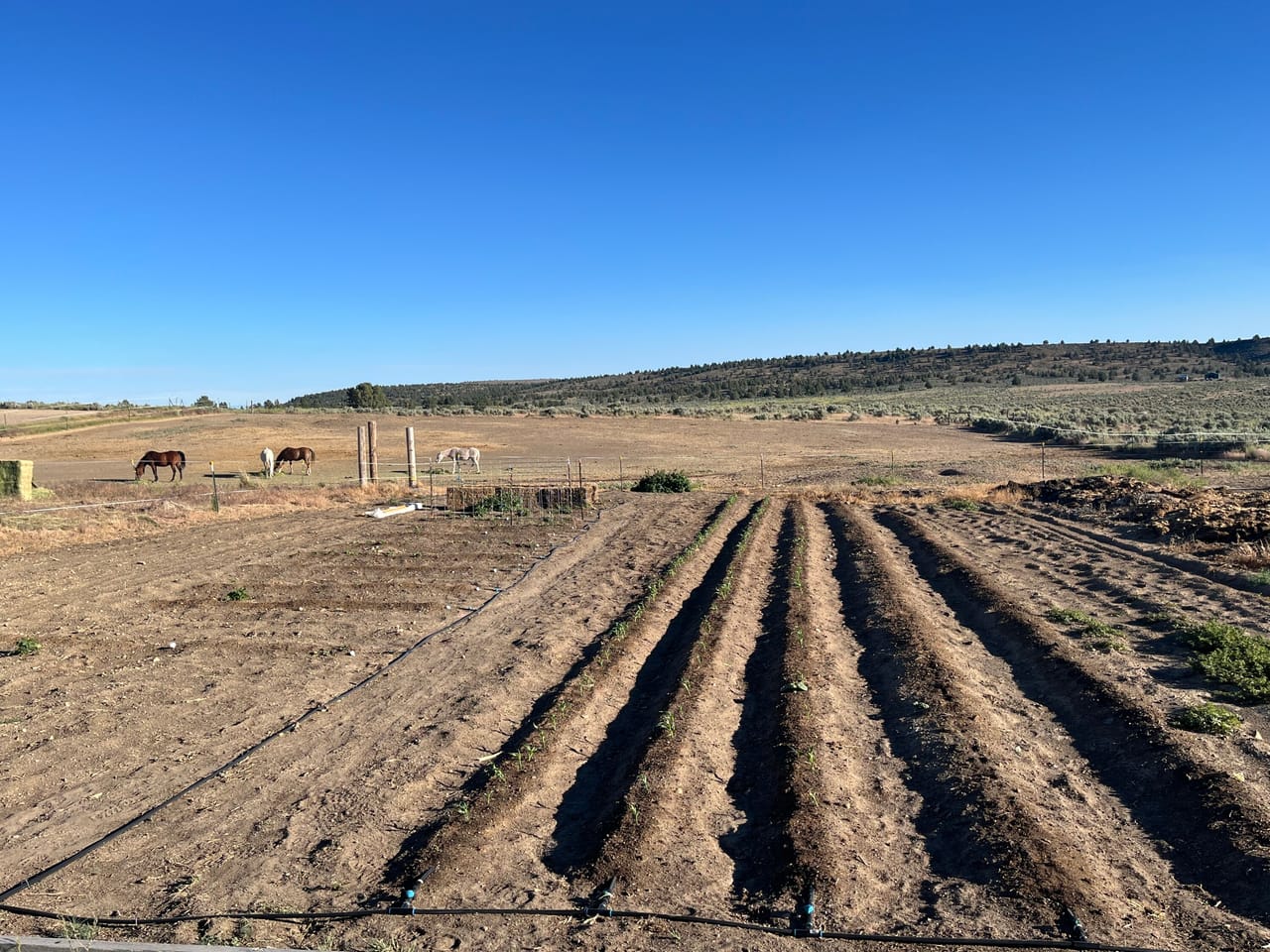 30648 Sunset Valley Ln, Burns, OR
