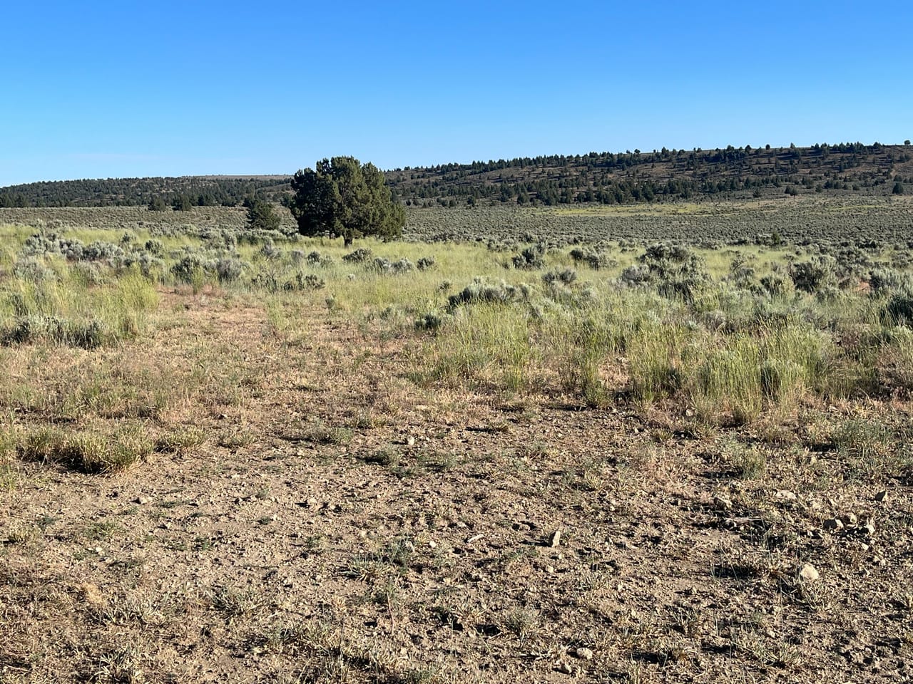 30648 Sunset Valley Ln, Burns, OR