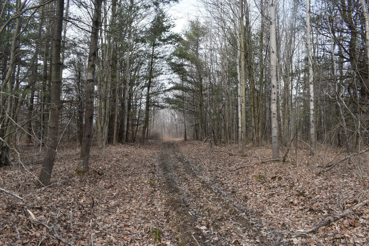 Listing Image 77