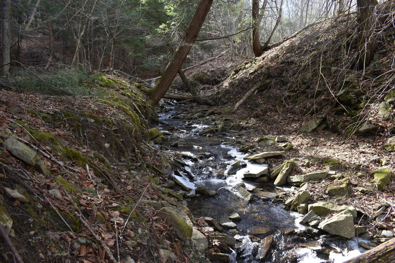 Listing Image 79