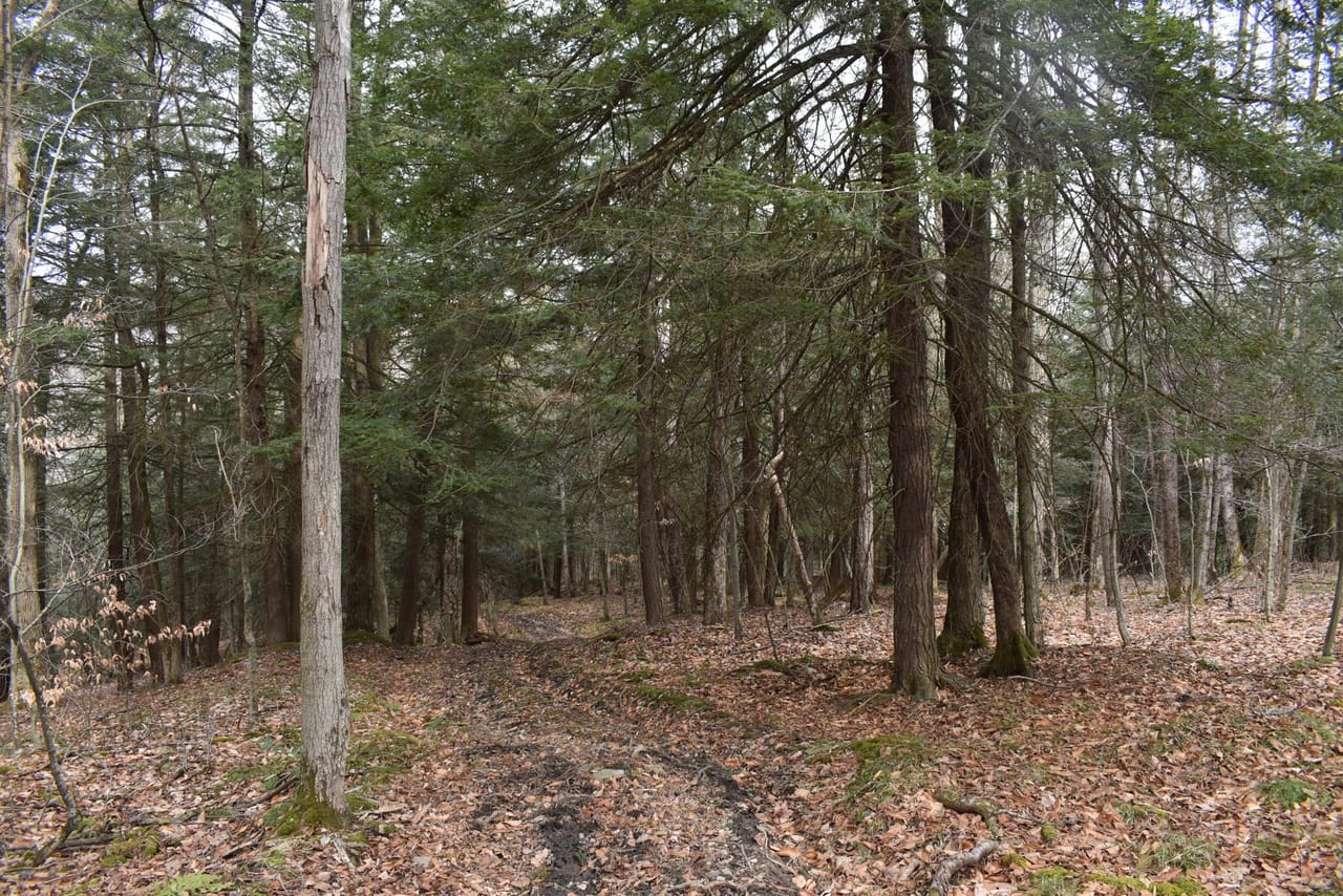 Listing Image 6