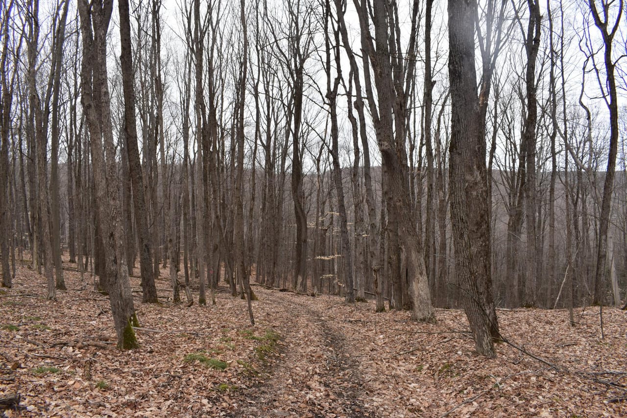 Listing Image 11