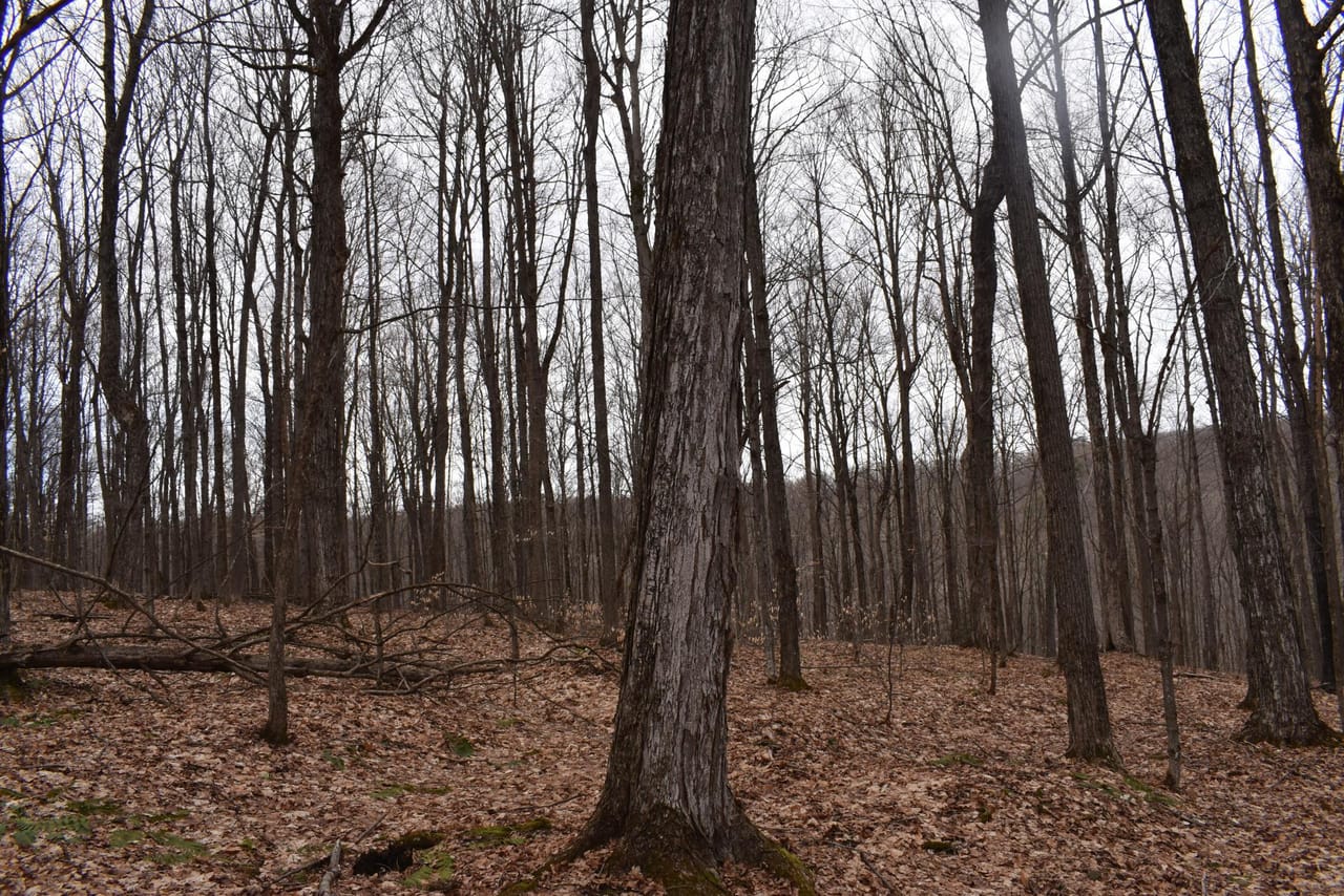 Listing Image 13