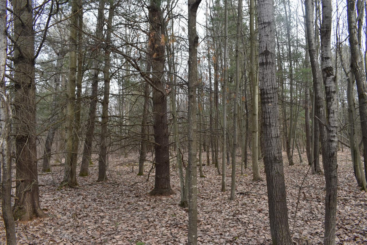 Listing Image 21