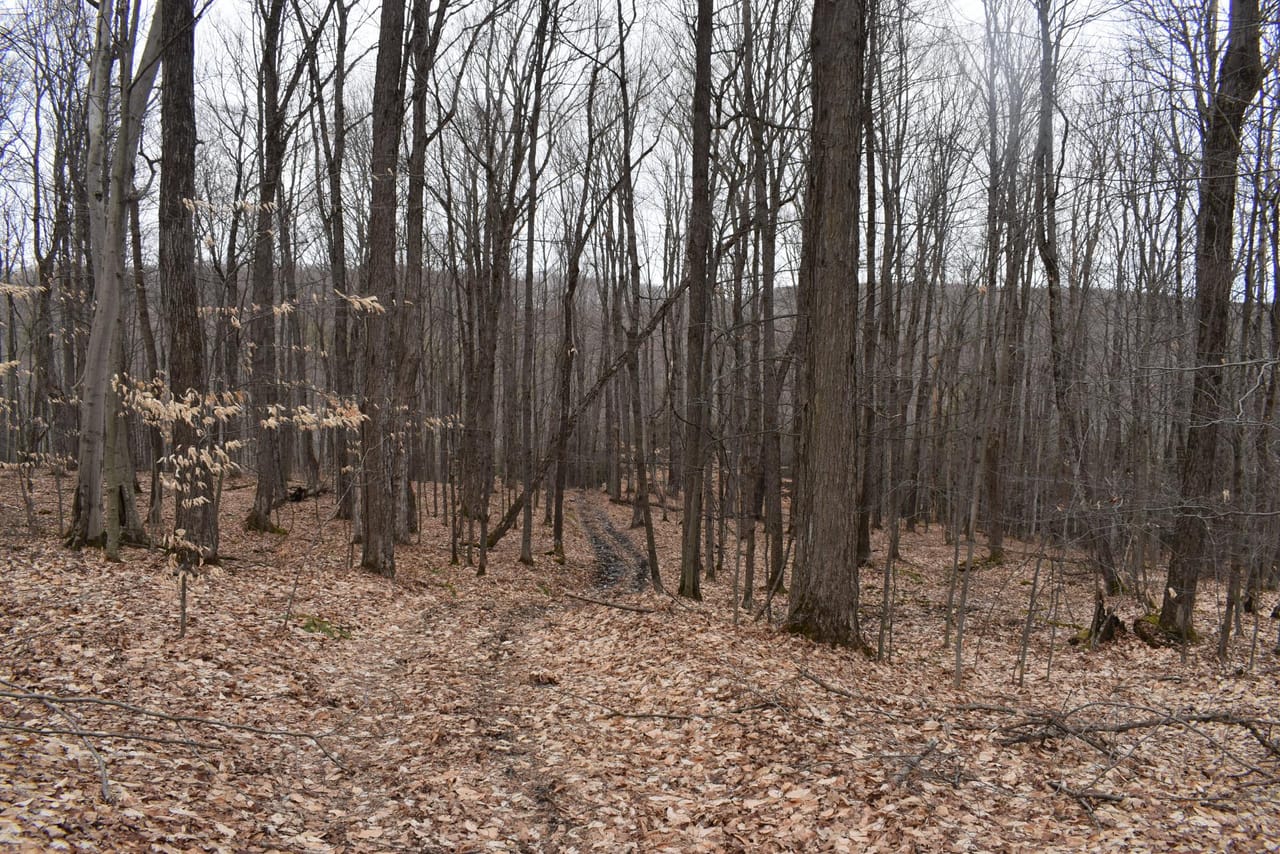 Listing Image 29