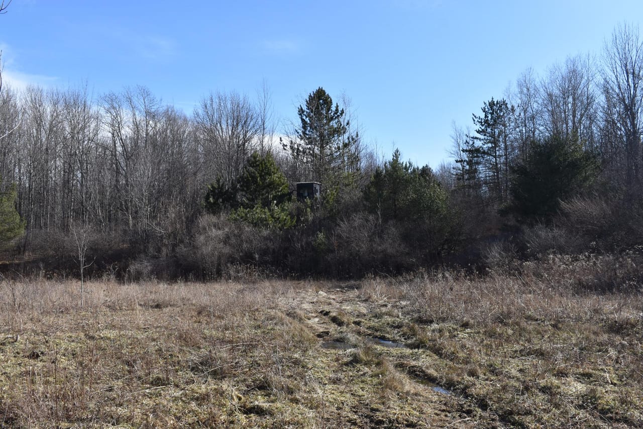 Listing Image 52