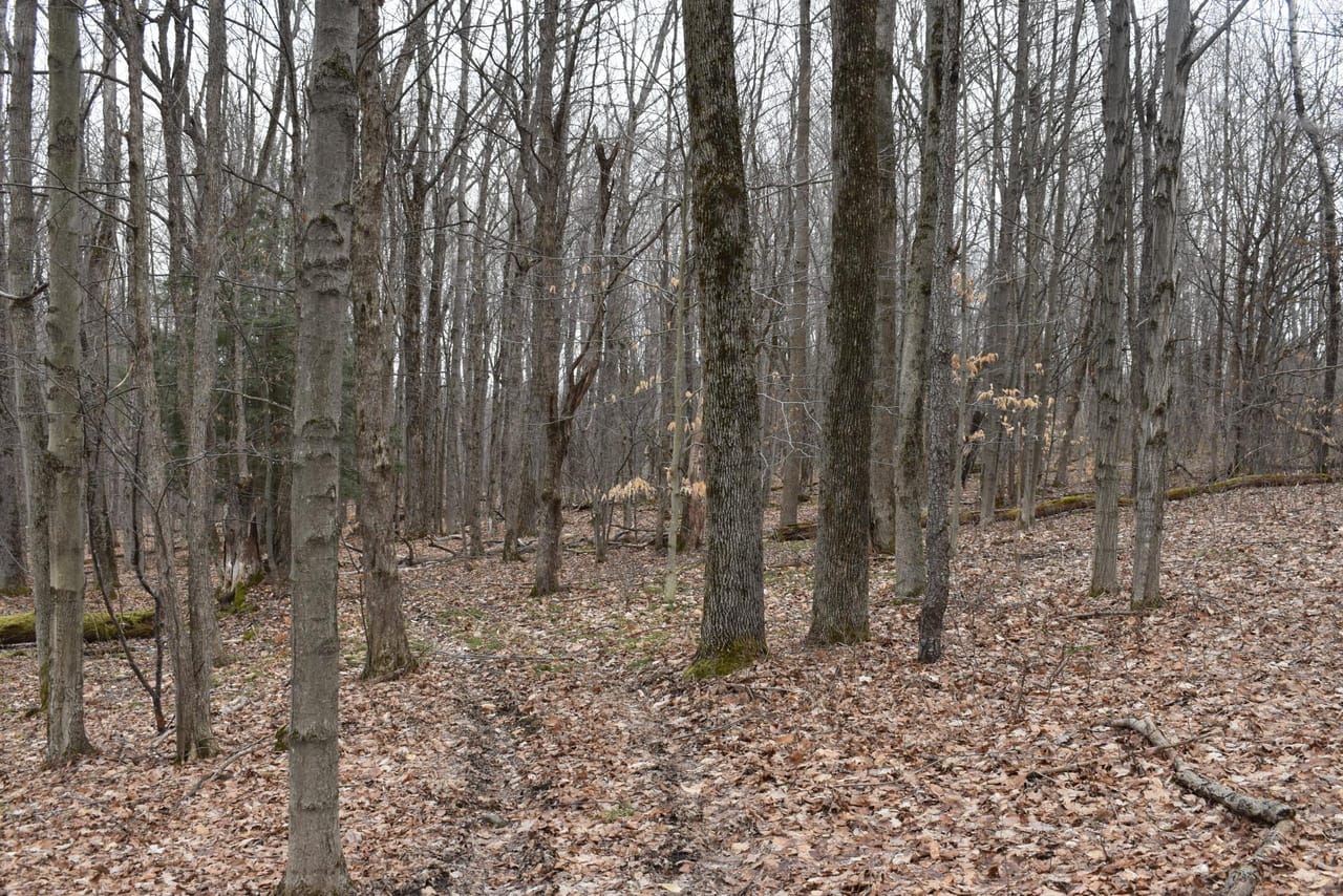 Listing Image 57