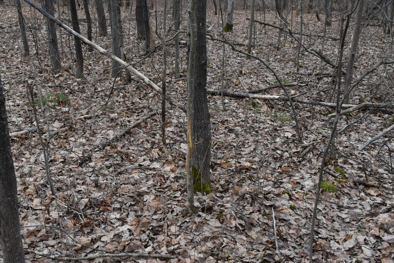 Listing Image 58