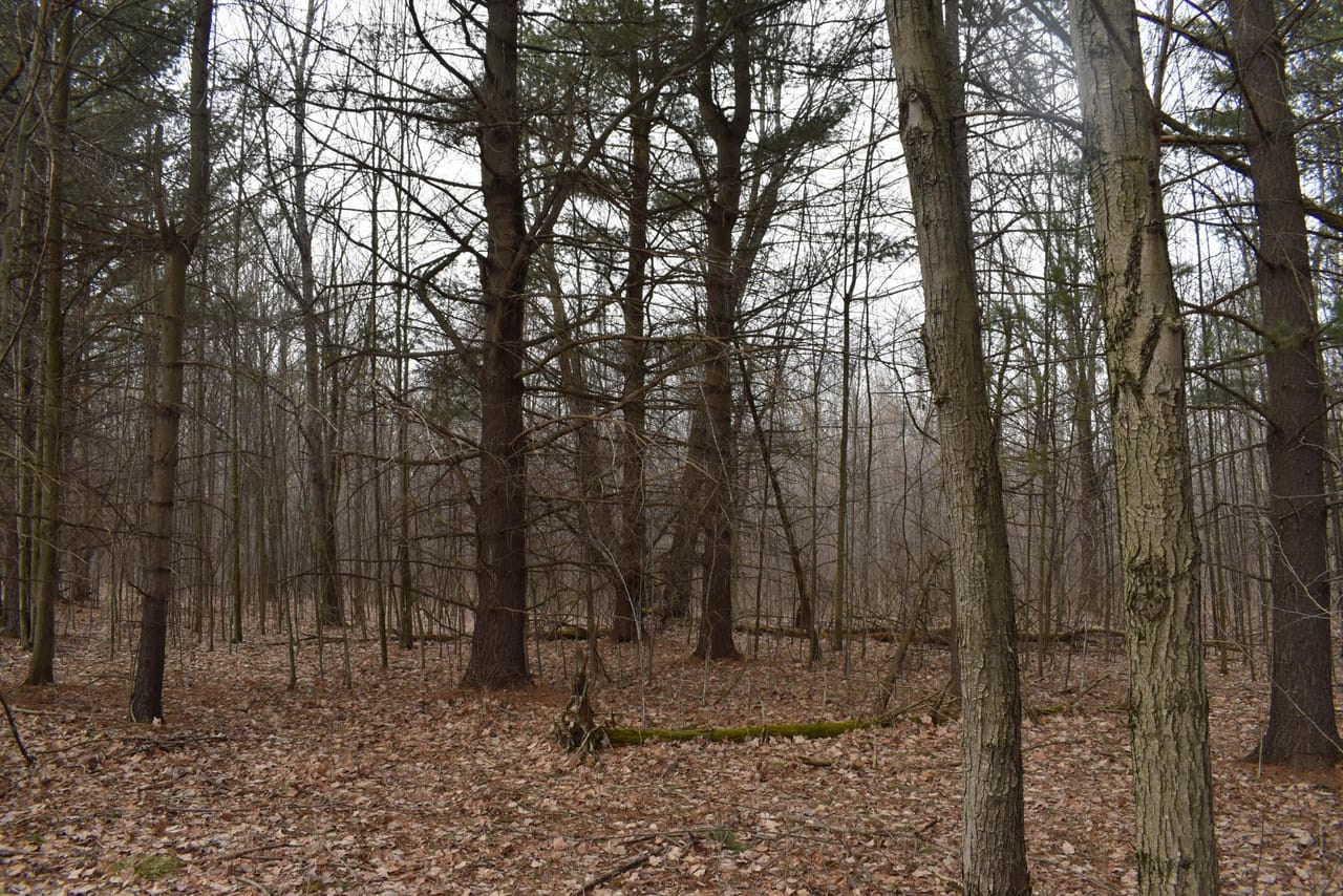 Listing Image 66