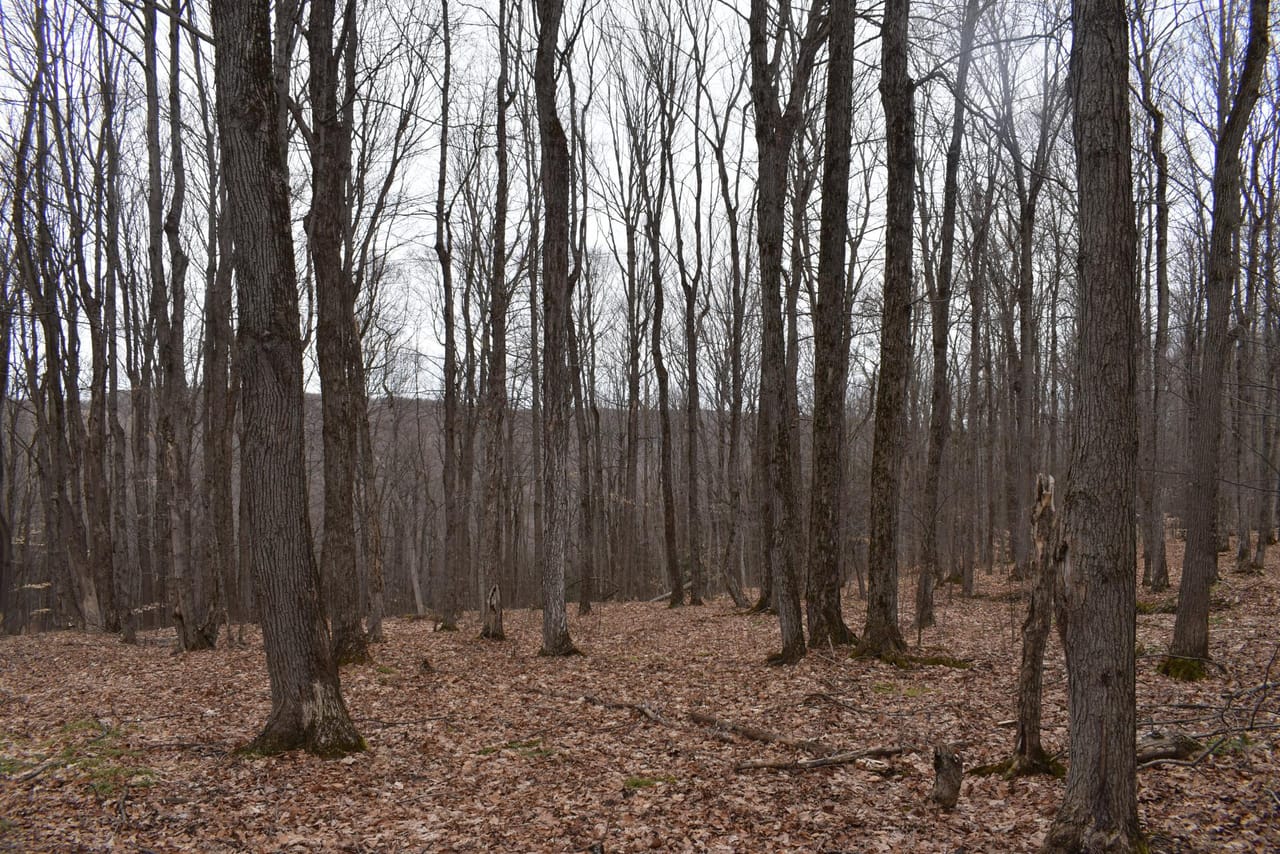 Listing Image 68