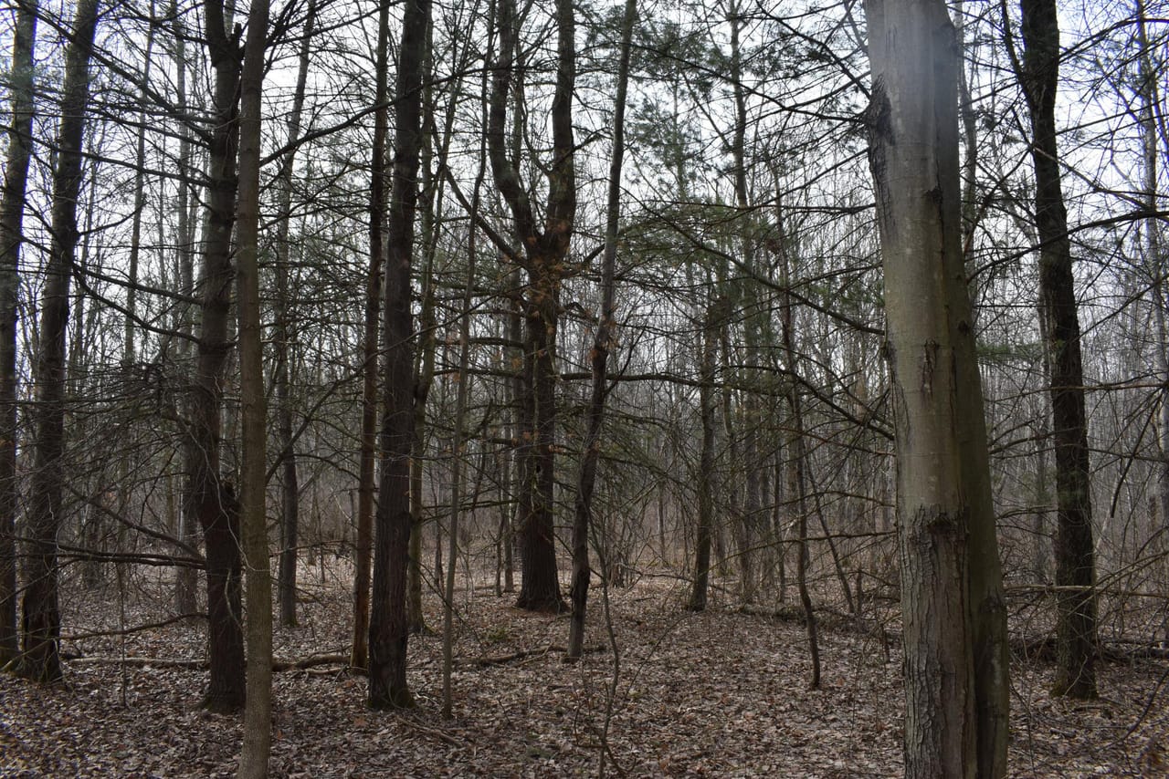 Listing Image 69