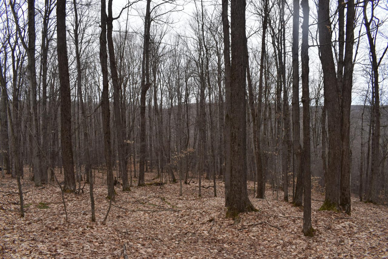 Listing Image 70