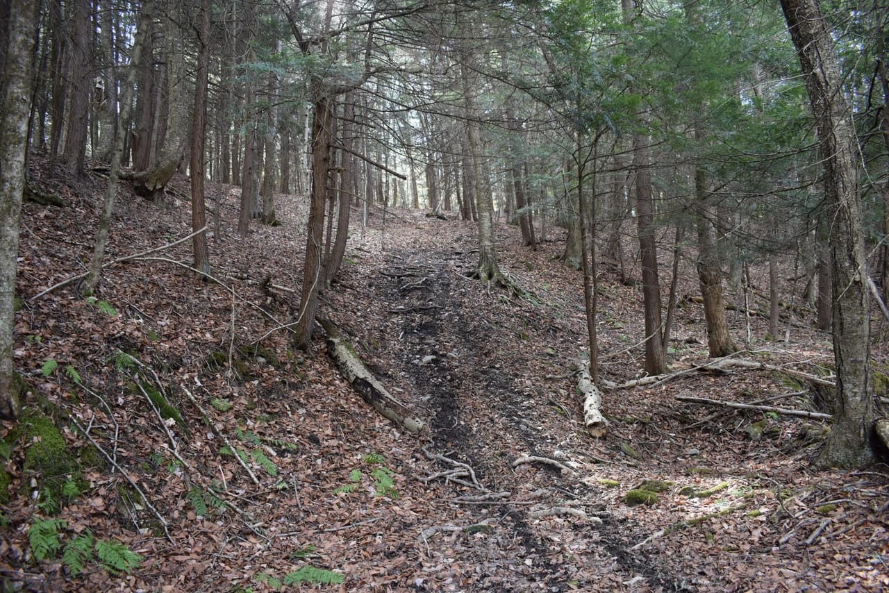 Listing Image 80