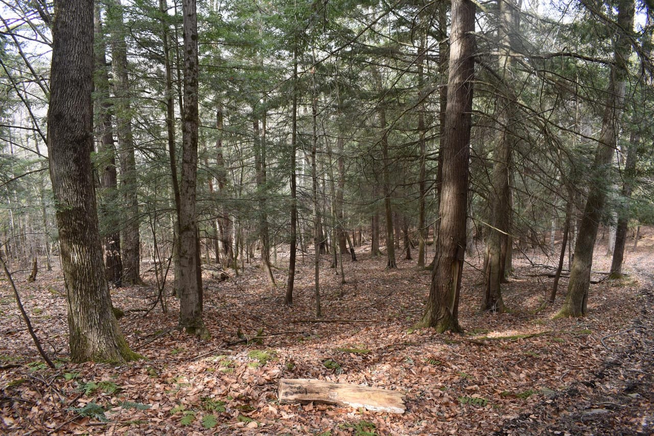 Listing Image 18