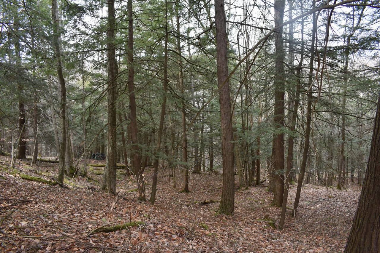 Listing Image 26