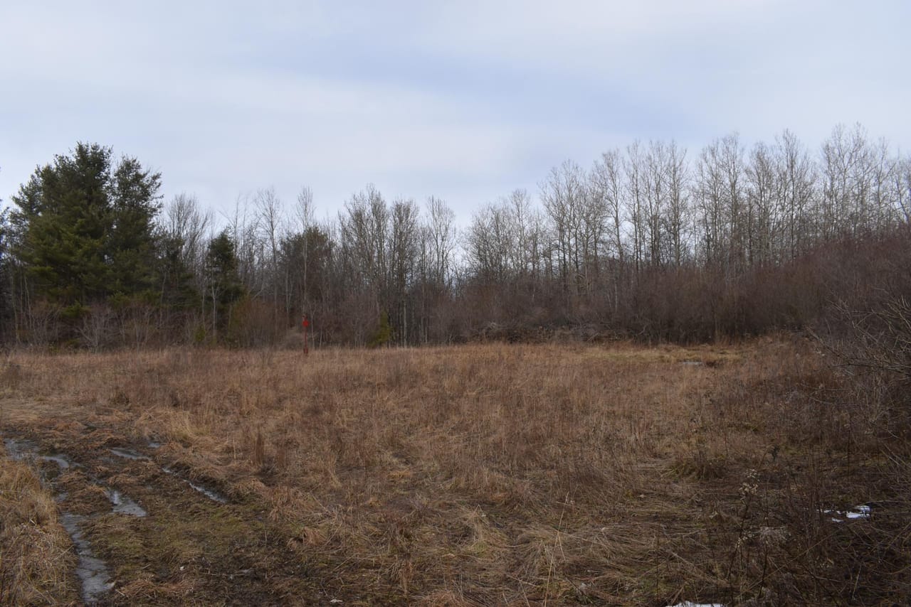 Listing Image 37