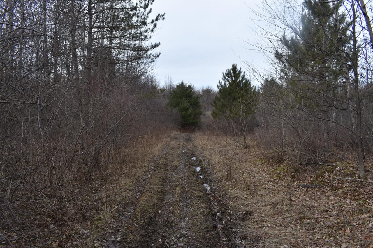 Listing Image 44