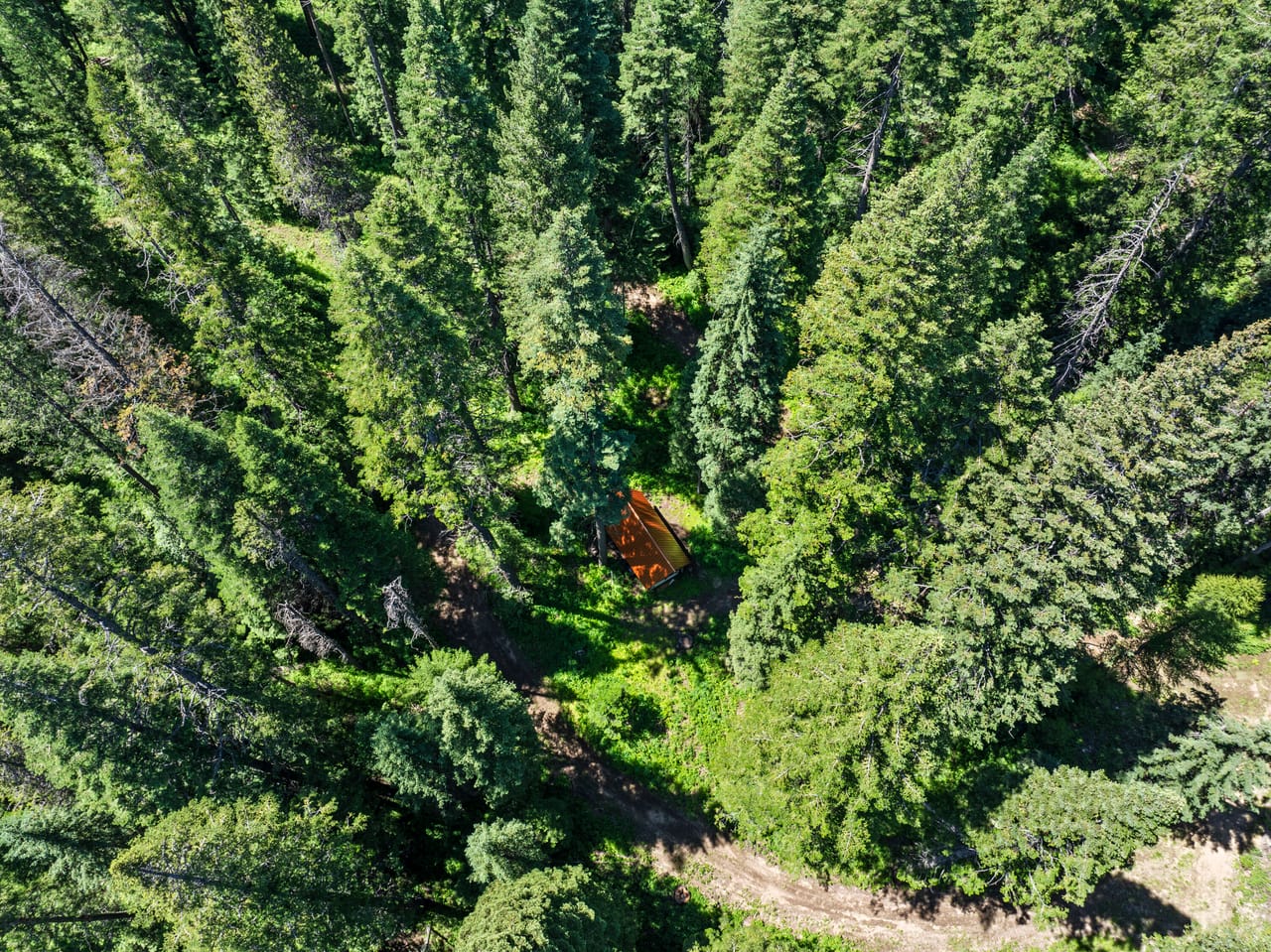 Listing Image 6