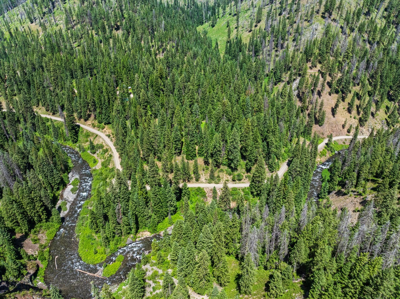 Listing Image 13