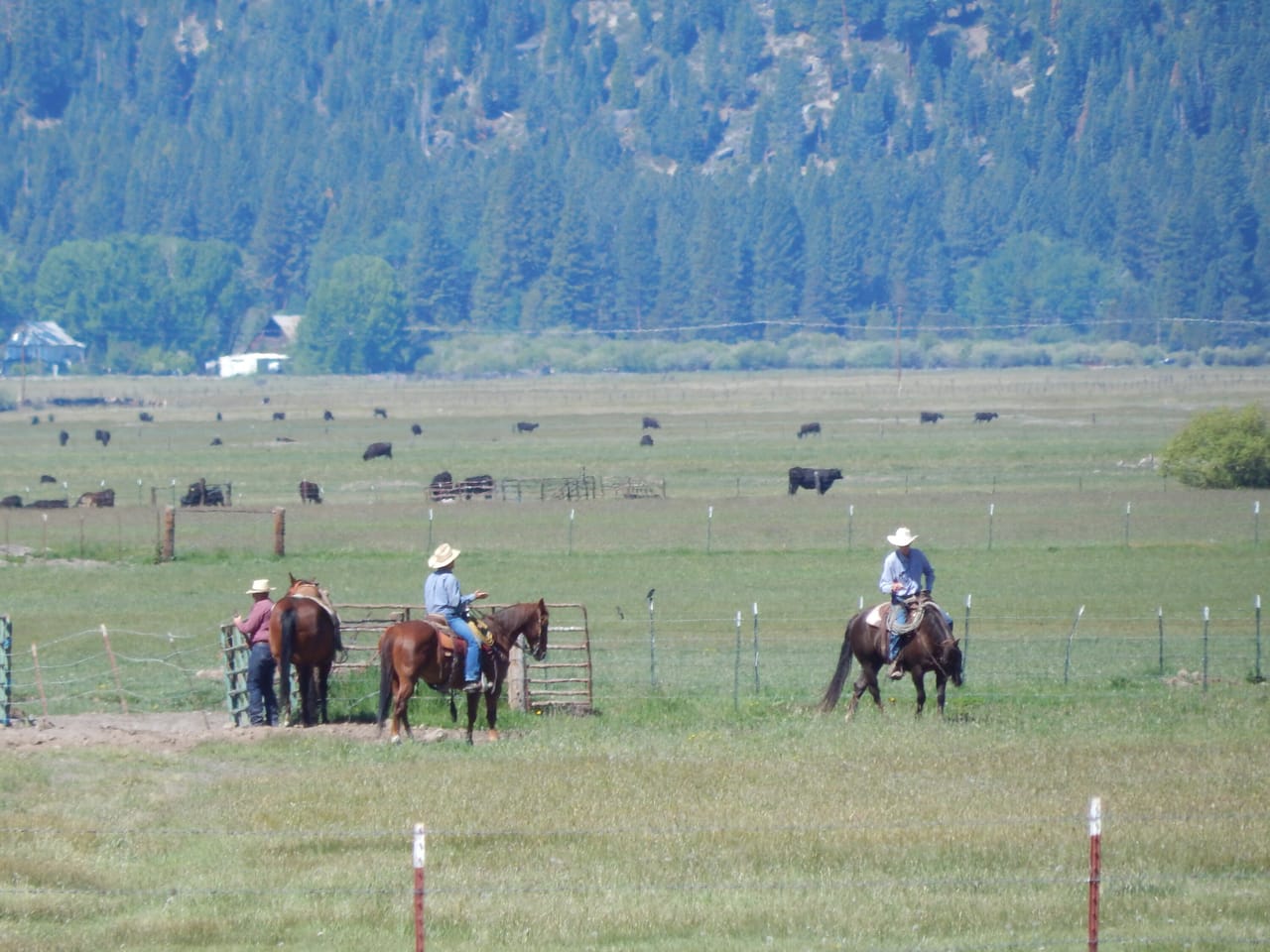 Listing Image 22