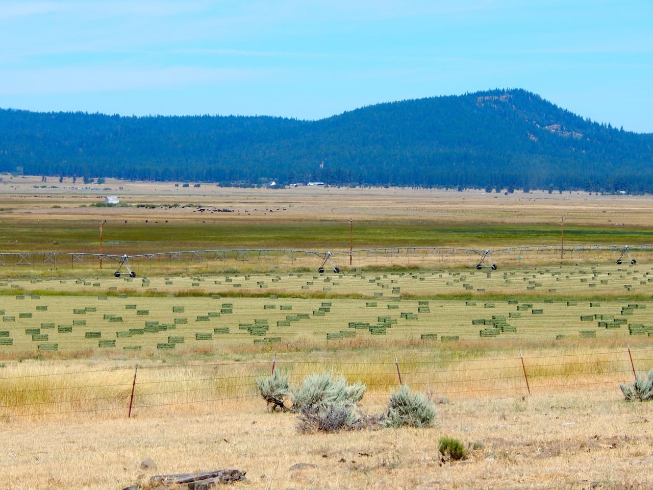 Listing Image 62