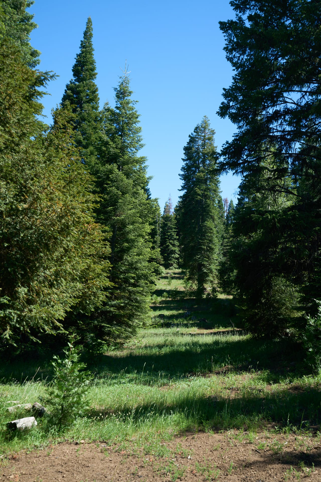 Hyatt Prairie Rd 80 Acres