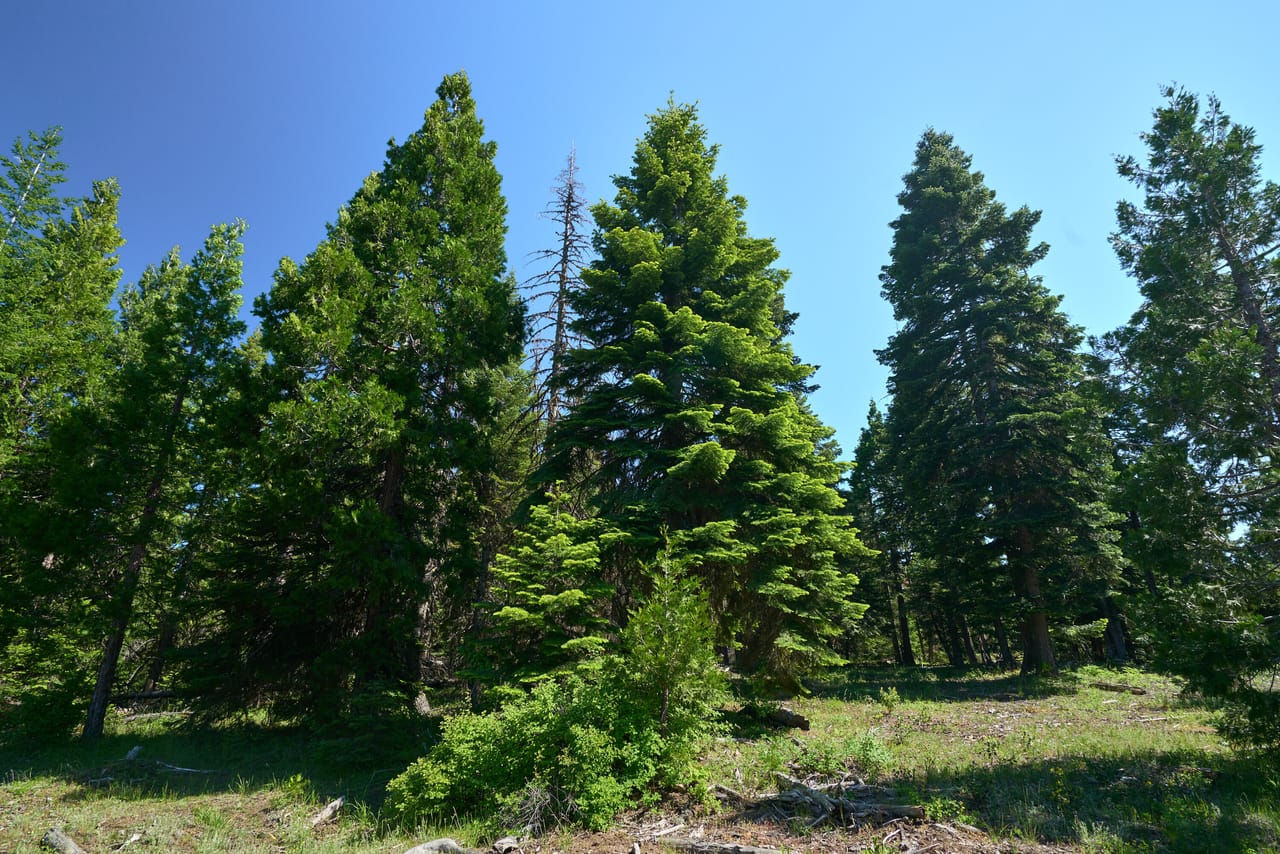 Hyatt Prairie Rd 80 Acres