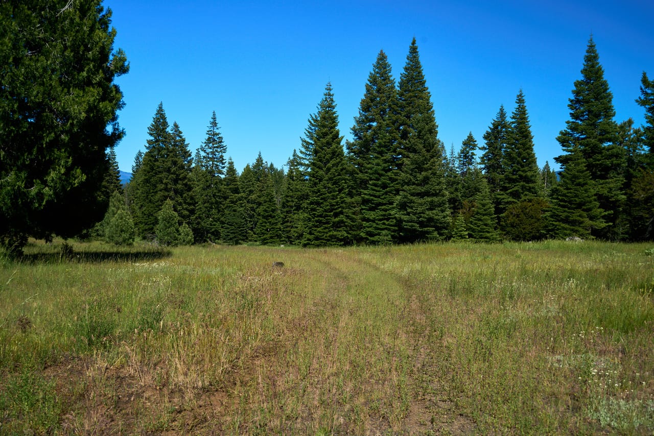 Hyatt Prairie Rd 80 Acres