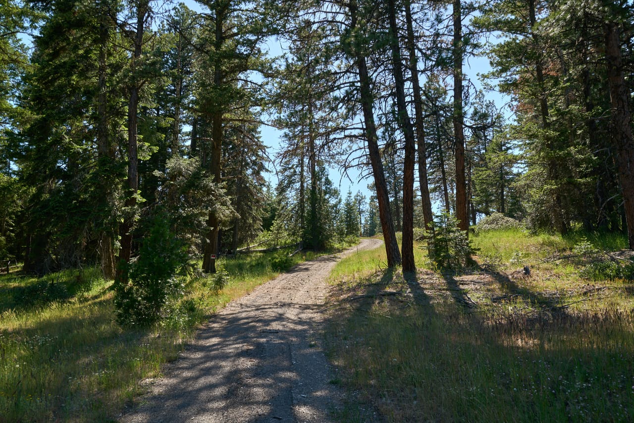 Hyatt Prairie Rd 80 Acres