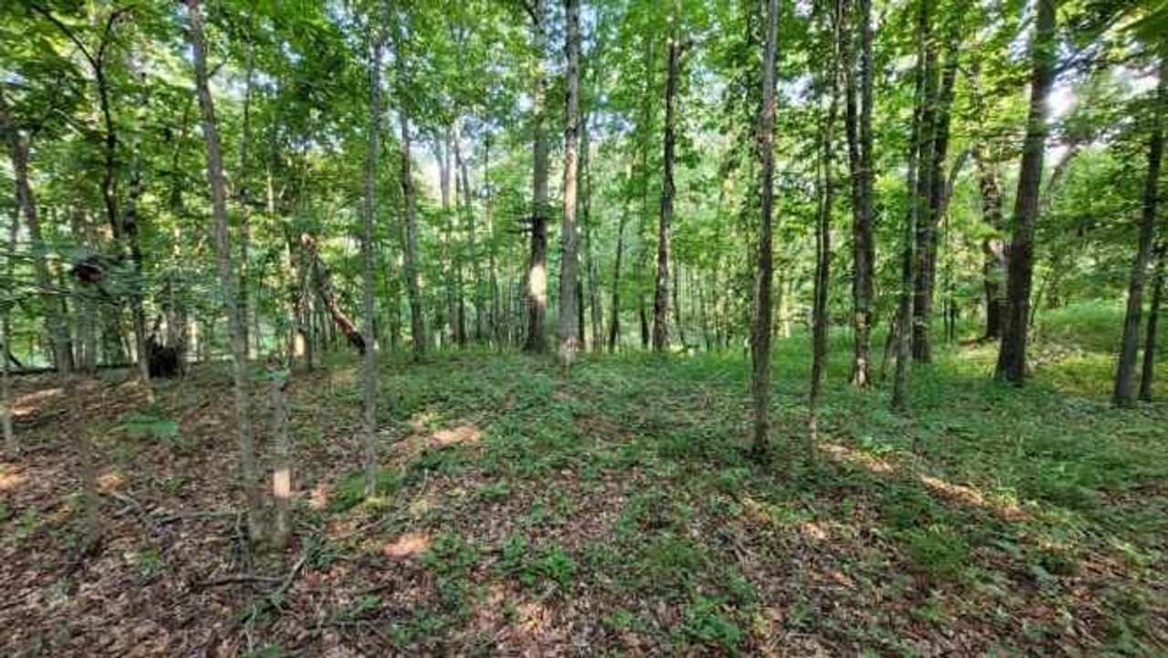 Listing Image 4