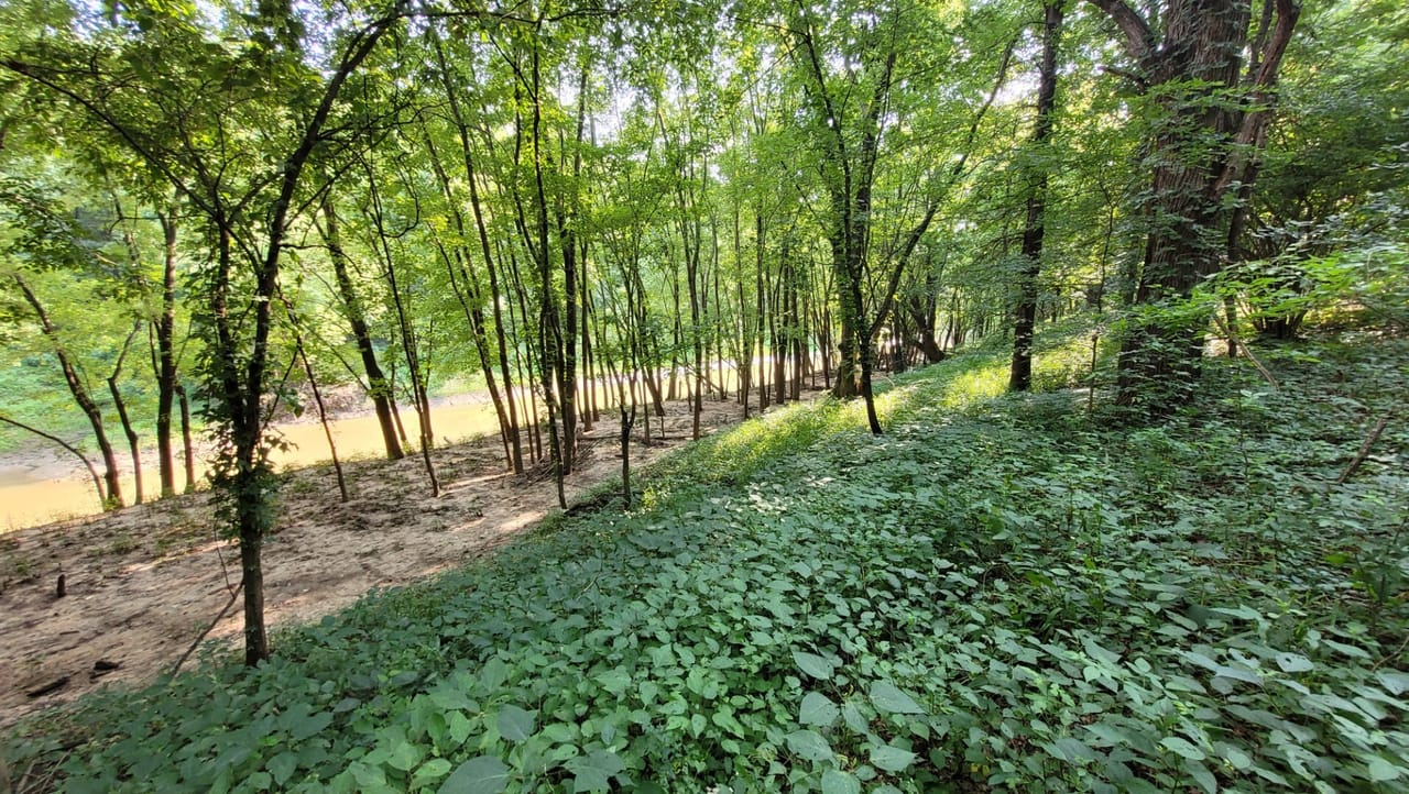 Listing Image 13