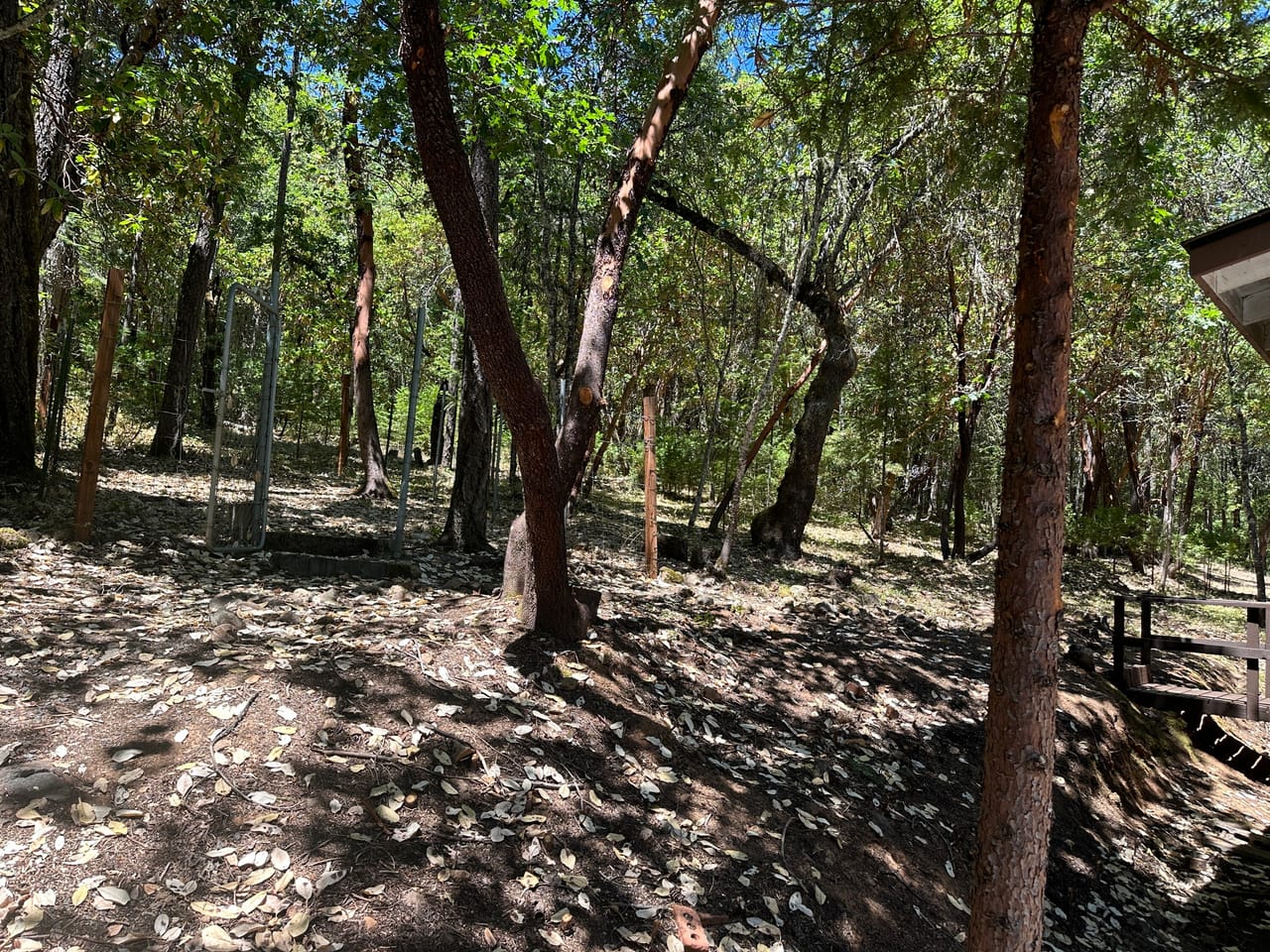 Listing Image 9