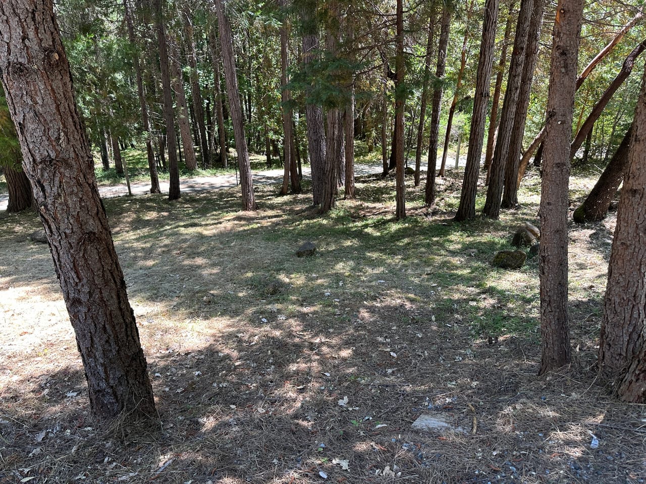 Listing Image 34
