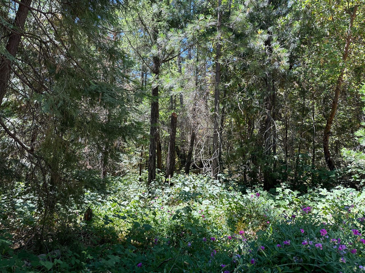 Listing Image 38