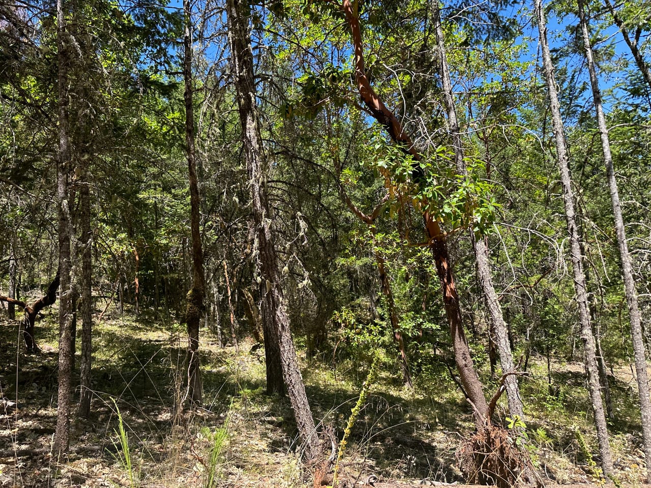 Listing Image 46