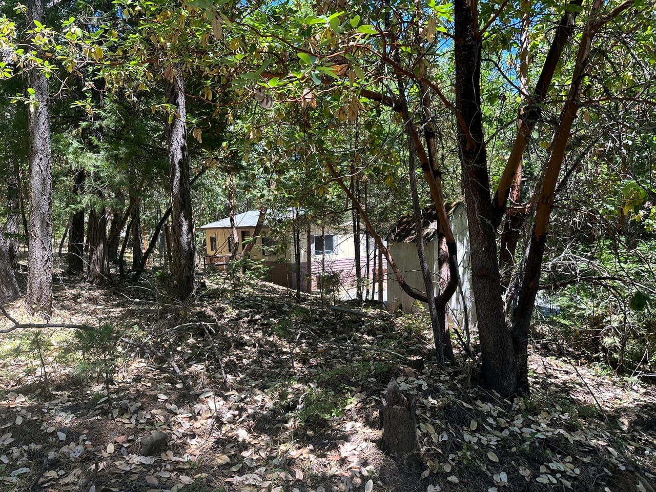 Listing Image 48