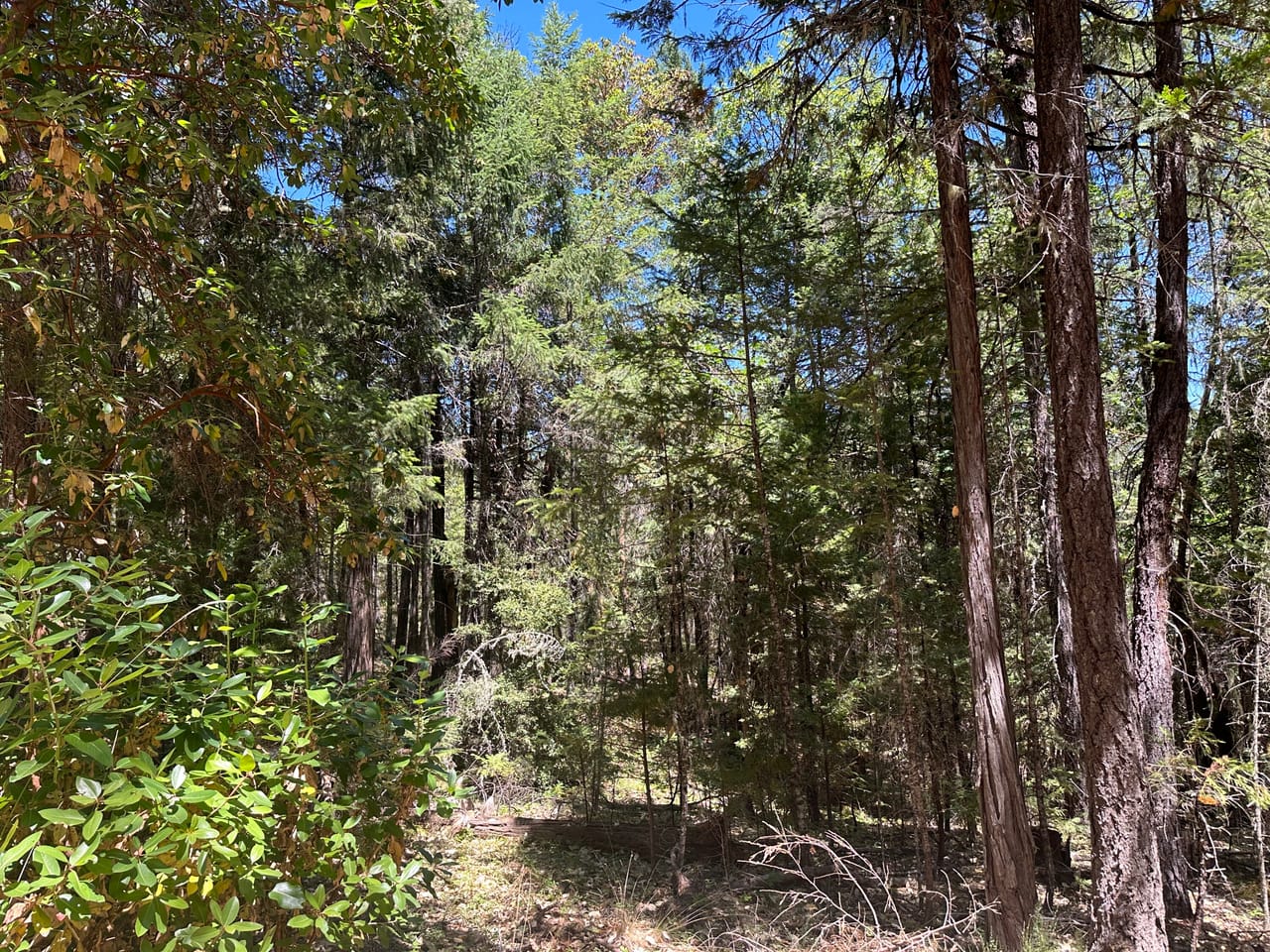 Listing Image 50