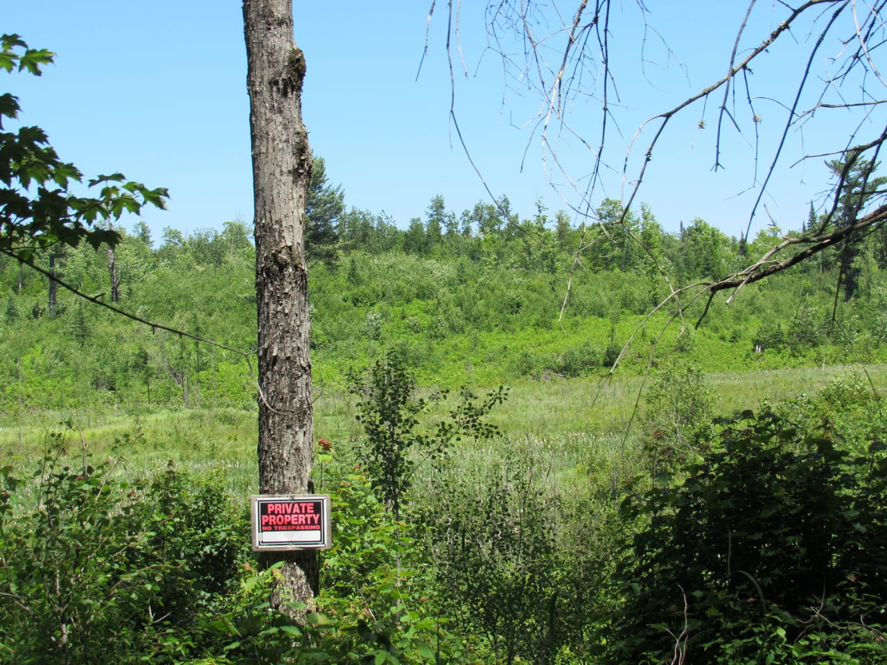 Beautiful 240 +/- Acre Parcel 50148315