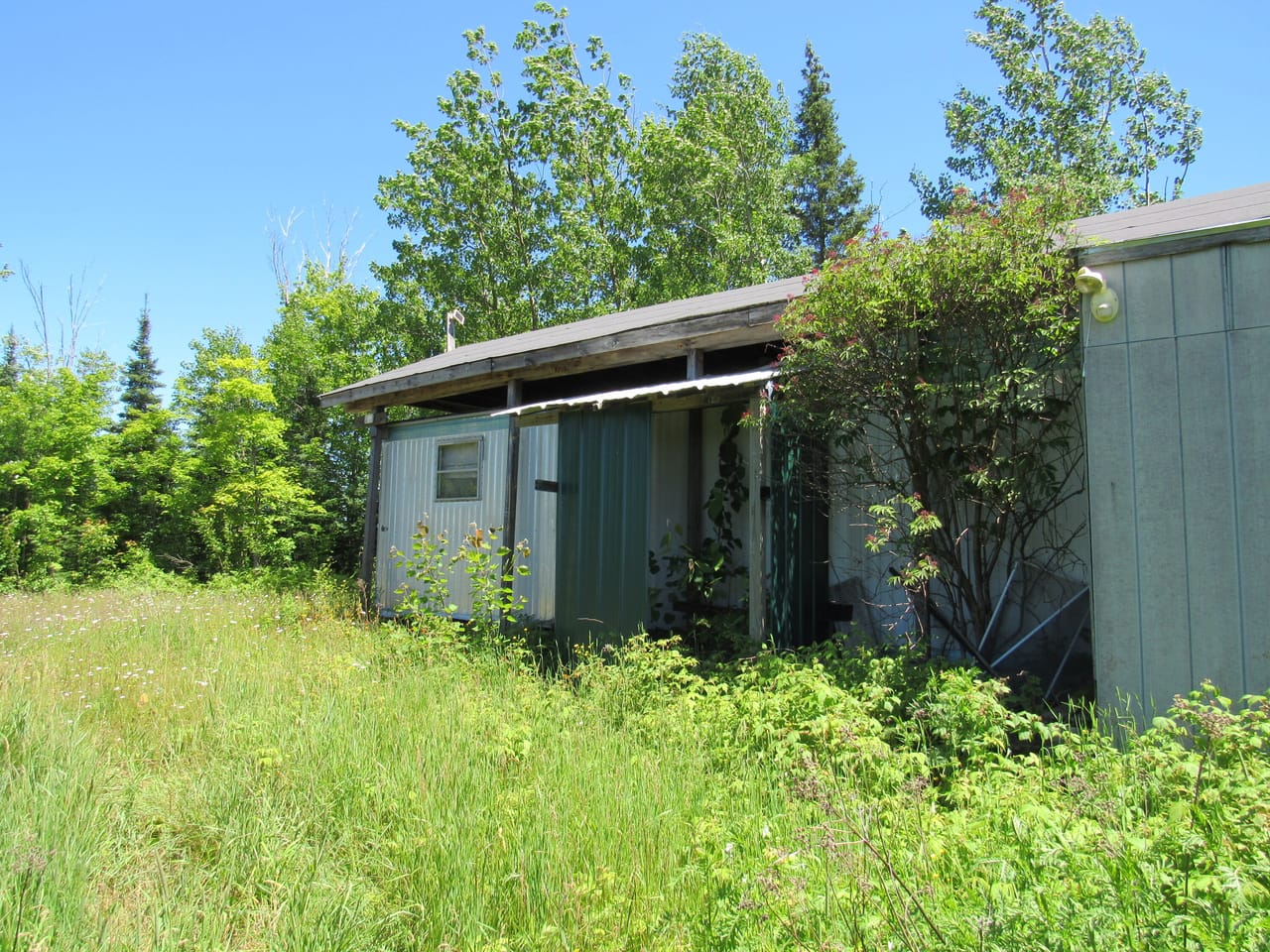 Beautiful 240 +/- Acre Parcel 50148315