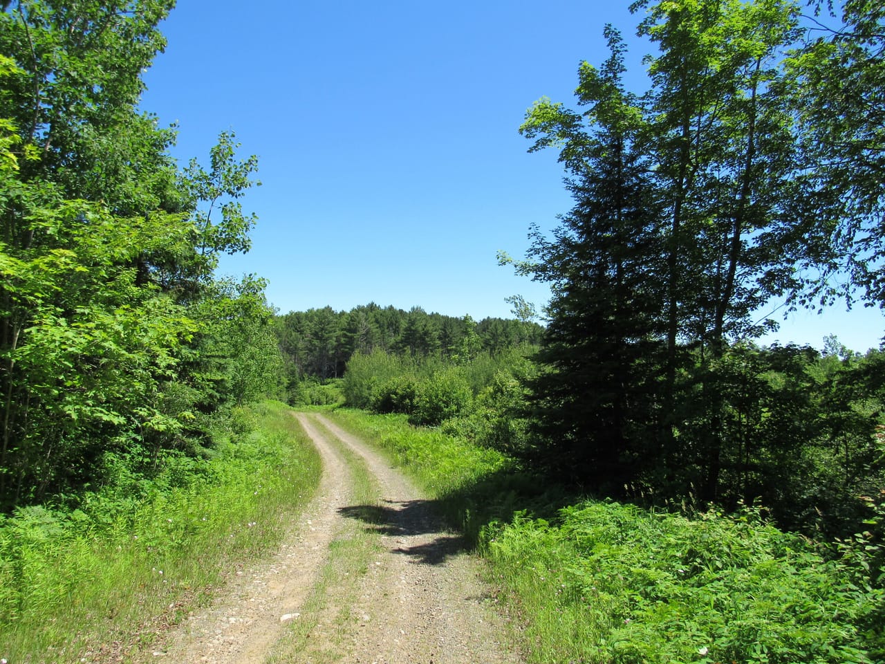 Beautiful 240 +/- Acre Parcel 50148315