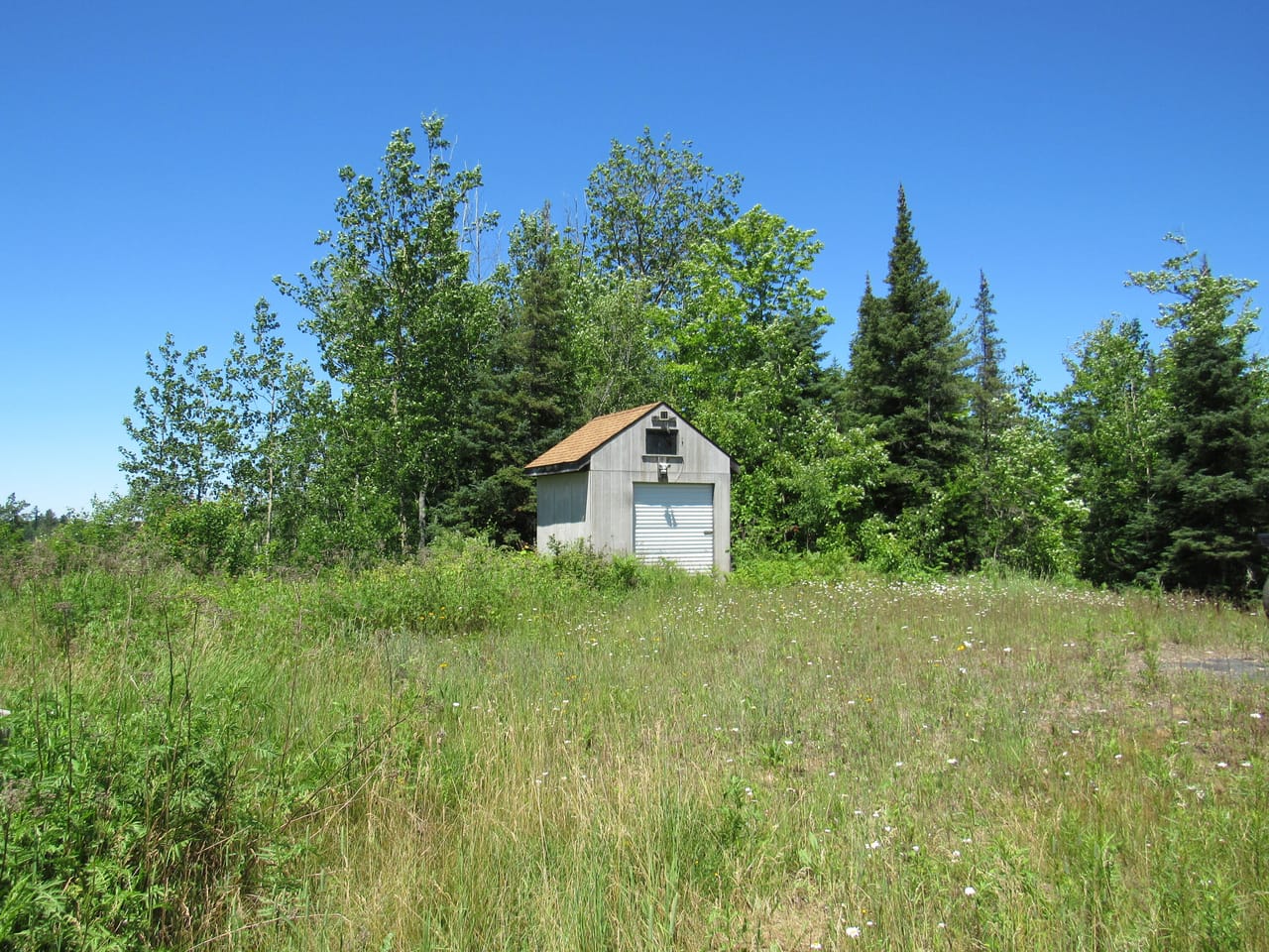 Beautiful 240 +/- Acre Parcel 50148315