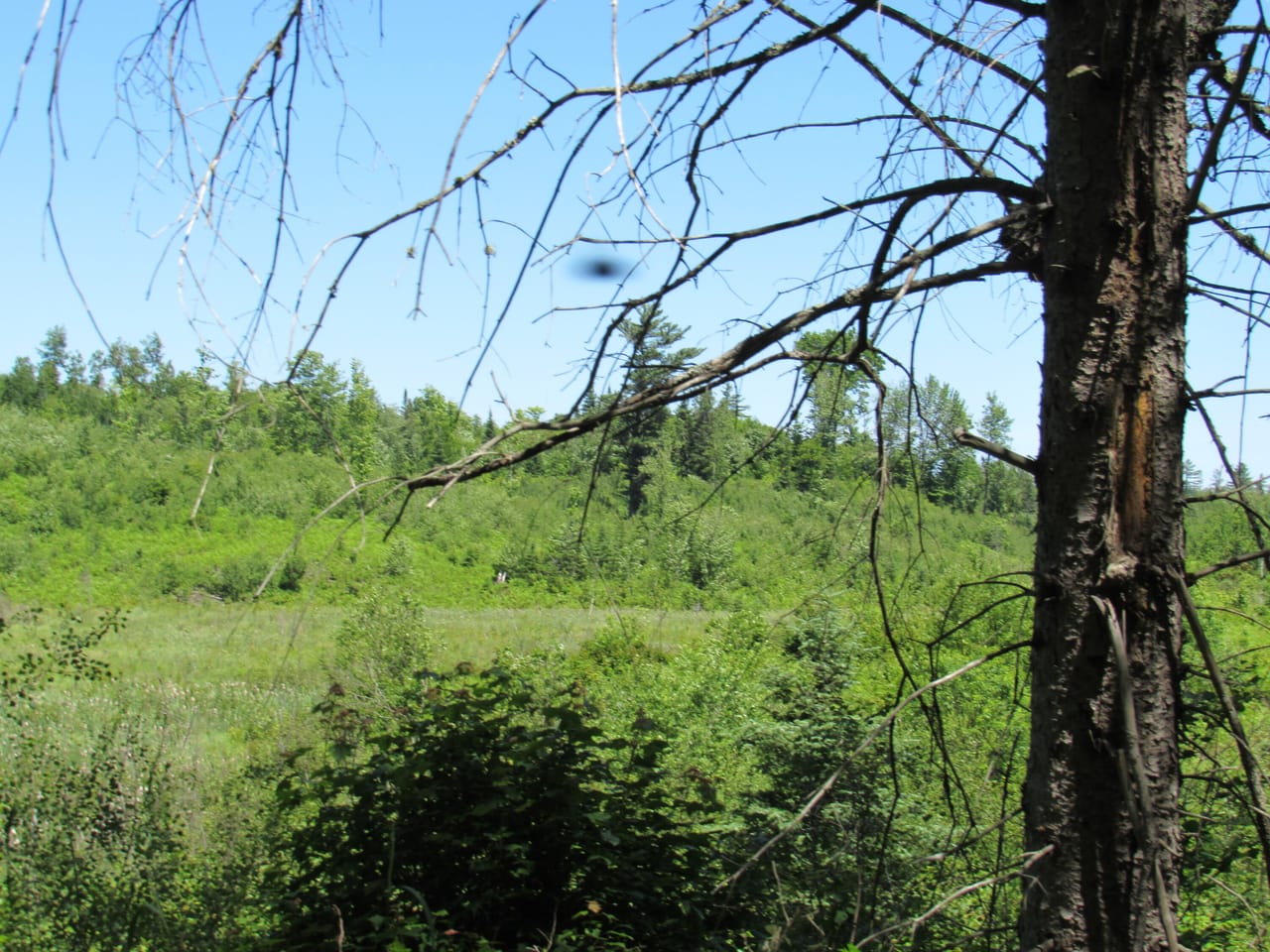 Beautiful 240 +/- Acre Parcel 50148315