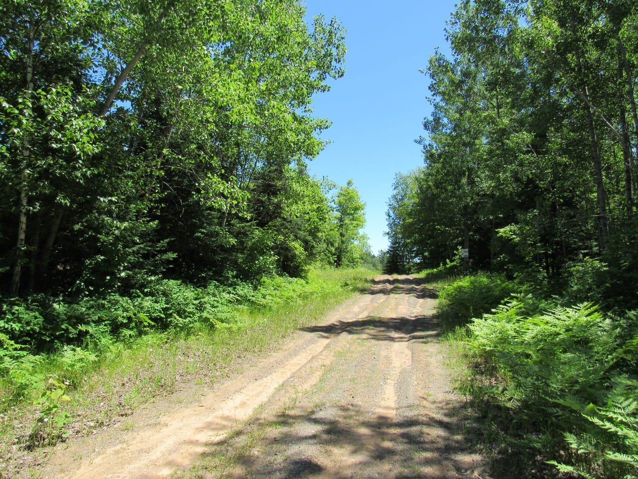 Beautiful 240 +/- Acre Parcel 50148315